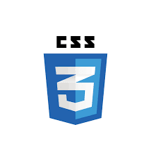 CSS Logo